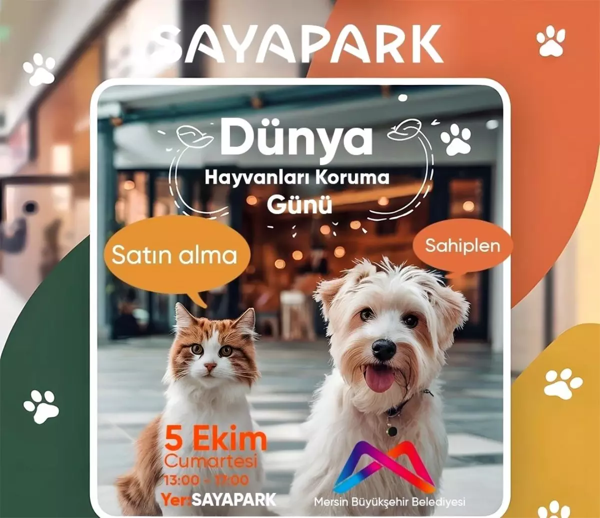 Mersin’de Sokak Hayvanları İçin Sahiplenme Etkinliği Düzenleniyor