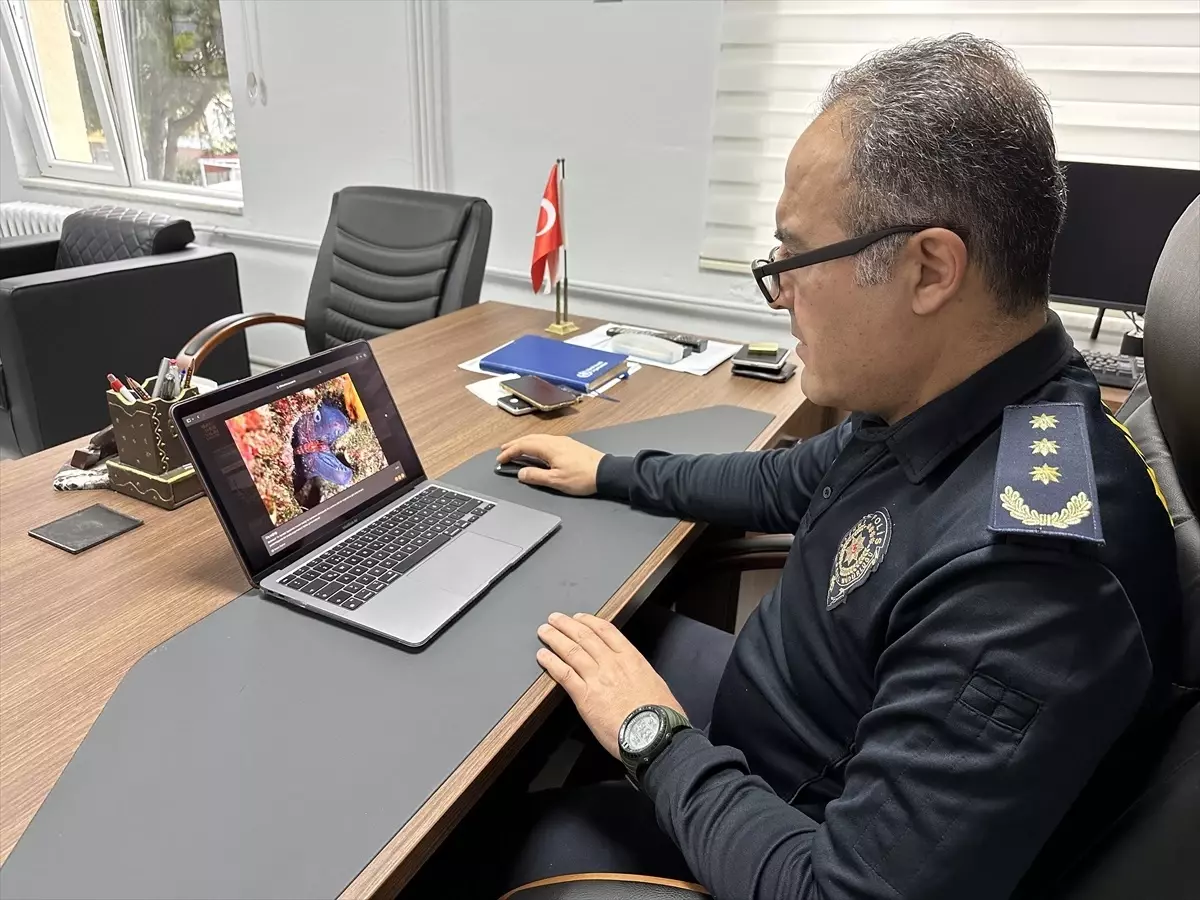 Emniyet Müdürü Oylamaya Katıldı